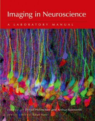 Kniha Imaging in Neuroscience 