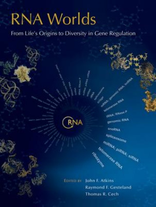 Könyv RNA Worlds: From Life's Origins to Diversity in Gene Regulation 