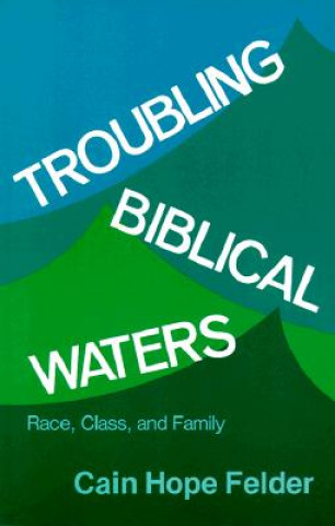 Книга Troubling Biblical Waters Cain Kopefelder