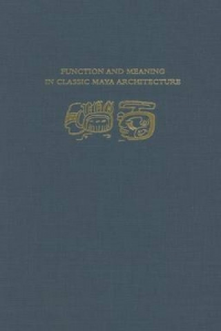 Kniha Function and Meaning in Classic Maya Architecture S. Houston