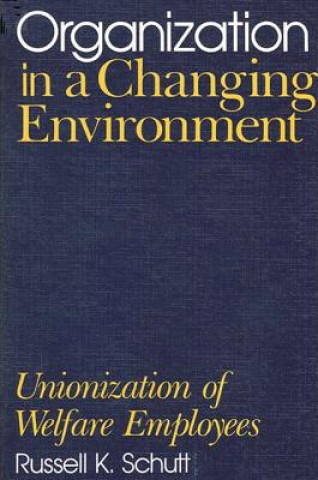 Książka Organization in a Changing Environment Russell K. Schutt