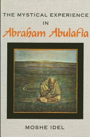 Kniha Mystical Experience in Abraham Abulafia Moshe Idel