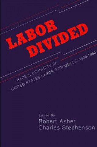 Book Labor Divided Robert Asher