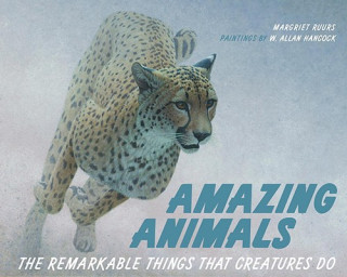 Kniha Amazing Animals Margriet Ruurs