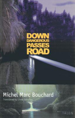 Kniha Down Dangerous Passes Road Michel Marc Bouchard