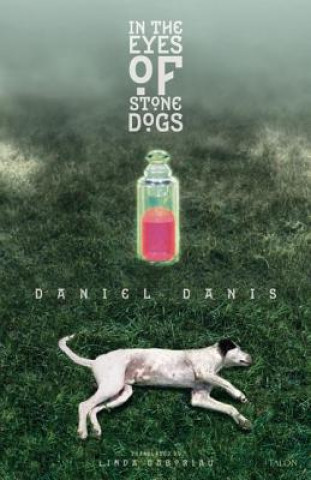 Book In the Eyes of Stone Dogs Daniel Danis