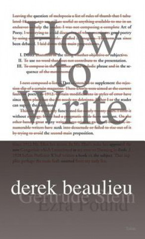 Book How to Write Derek Beaulieu