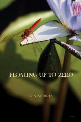Boek Floating Up to Zero Ken Norris