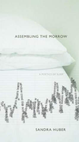 Βιβλίο Assembling the Morrow Sandra Huber