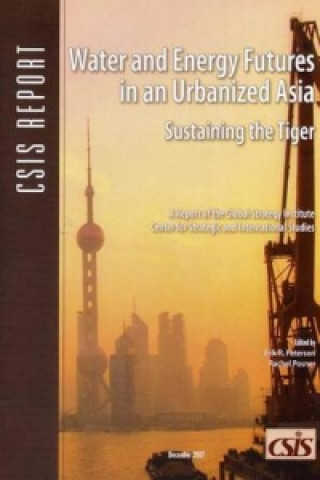 Knjiga Water and Energy Futures in an Urbanized Asia Rachel Posner