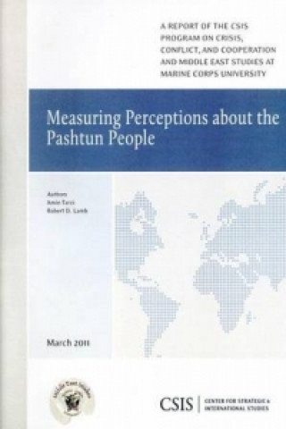 Buch Measuring Perceptions about the Pashtun People Amin Tarzi