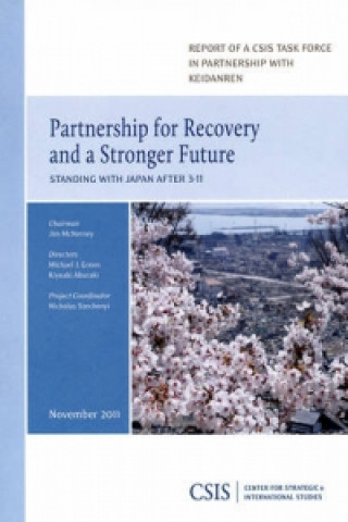 Könyv Partnership for Recovery and a Stronger Future Michael J. Green