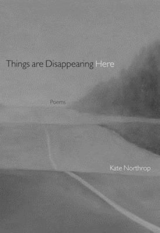 Carte Things are Disappearing Here Kate Northrop