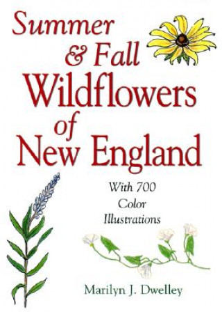 Kniha Summer & Fall Wildflowers of New England Marilyn Dwelley