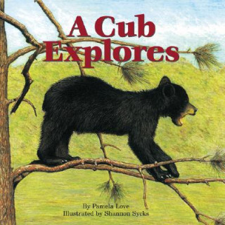 Knjiga Cub Explores Pamela Love