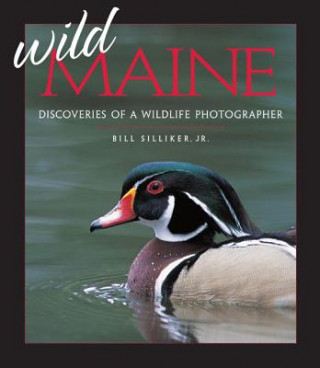 Kniha Wild Maine Bill Silliker