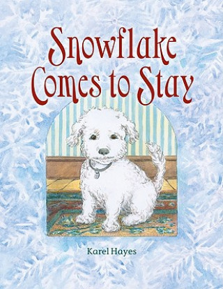 Book Snowflake Comes to Stay Karel Hayes