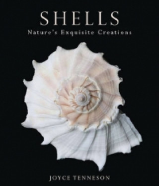 Книга Shells Joyce Tenneson