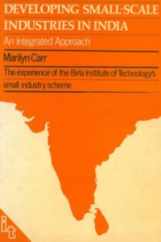 Βιβλίο Developing Small-scale Industries in India Marilyn Carr