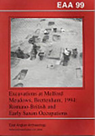 Kniha EAA 99: Excavations at Melford Meadows, Brettenham, 1994 Andrew Mudd