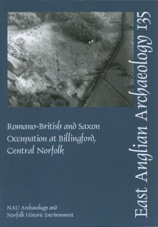 Knjiga Romano-British and Saxon Occupation at Billingford, Central Norfolk Heather Wallis