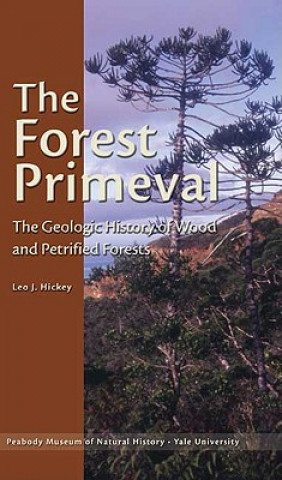 Könyv Forest Primeval - The Geologic History of Wood and Petrified Forests Leo J. Hickey