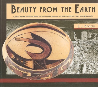 Livre Beauty from the Earth J.J. Brody