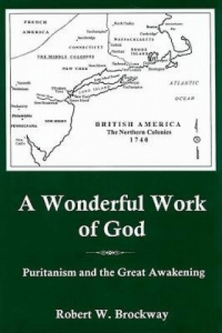 Kniha Wonderful Work Of God Robert W. Brockway