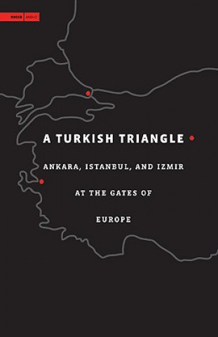 Livre Turkish Triangle Hashim Sarkis