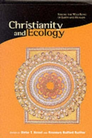 Könyv Christianity & Ecology - Seeking the Well-Being of Earth & Humans (Paper) Dieter Hessel