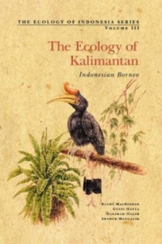 Könyv Ecology of Kalimantan Kathy MacKinnon