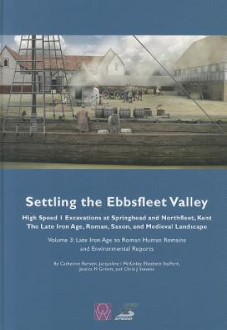 Книга Settling the Ebbsfleet Valley vol 3 Catherine Barnett