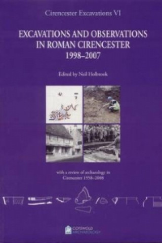 Könyv Cirencester Excavations VI 