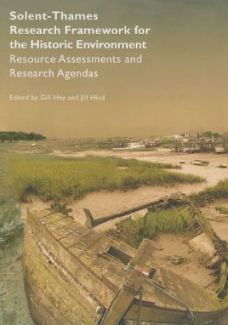 Boek Solent-Thames: Research Framework for the Historic Environment Jill Hind