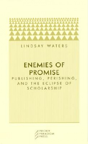 Buch Enemies of Promise Lindsay Waters