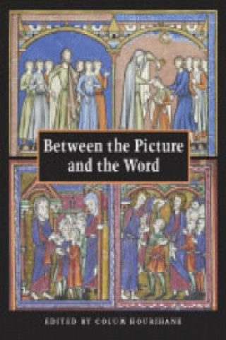 Libro Between the Picture and the Word Colum Hourihane