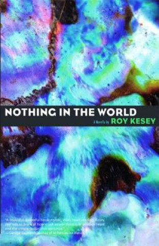 Kniha Nothing In The World Roy Kesey