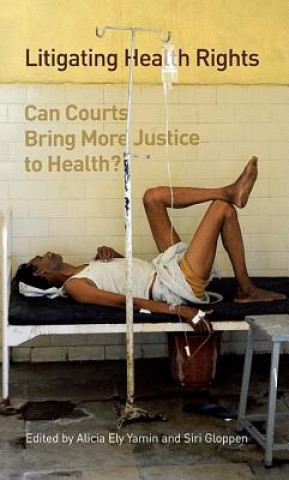 Книга Litigating Health Rights 