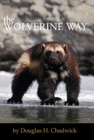 Kniha Wolverine Way Douglas H. Chadwick