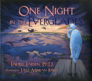 Kniha One Night in the Everglades Laurel Larsen
