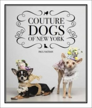 Carte Couture Dogs of New York Paul Nathan
