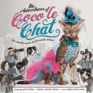 Kniha Adventures of Coco Le Chat Nadine Rubin Nathan