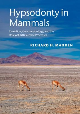 Kniha Hypsodonty in Mammals Richard H. Madden