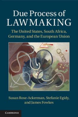 Книга Due Process of Lawmaking Stefanie Egidy