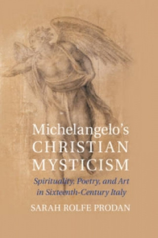 Könyv Michelangelo's Christian Mysticism Sarah Rolfe Prodan