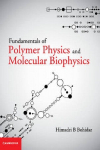 Kniha Fundamentals of Polymer Physics and Molecular Biophysics Himadri B Bohidar