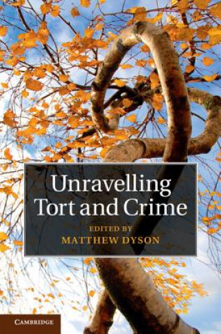 Книга Unravelling Tort and Crime Matthew Dyson