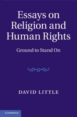 Könyv Essays on Religion and Human Rights David Little