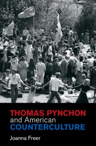 Könyv Thomas Pynchon and American Counterculture Joanna Freer