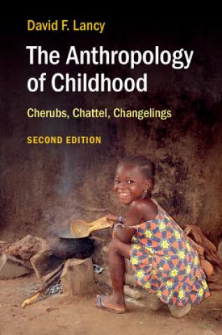 Kniha Anthropology of Childhood David F. Lancy